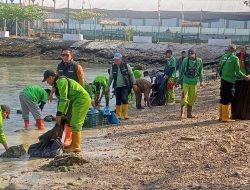 Pemkot Bandar Lampung lakukan Corve ASRI di pesisir pantai 