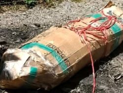 Kasus Mayat Wanita dalam Kardus di Bandung, Pelaku Ditangkap Kurang dari 6 Jam