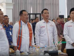 Cik Ujang Dorong Ratusan Ribu Hektare Rawa dan Gambut Sumsel Jadi Lumbung Pangan, Karhutla Tak Cukup Dipadamkan
